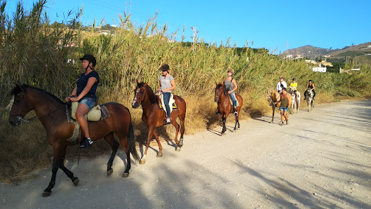 Andale Riding Nerja